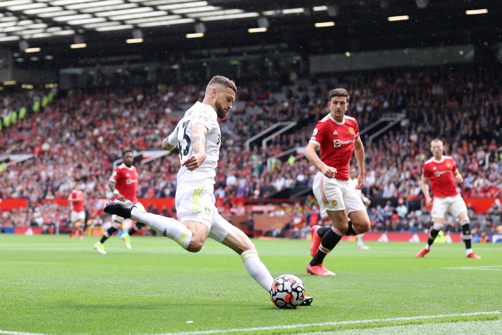 注为阵营注 注为阵营注